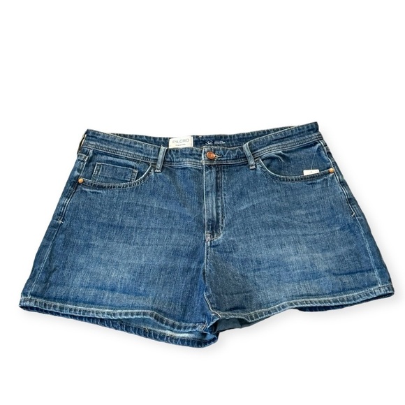 ANTHROPOLOGIE Pilcro Low Rise Slim Boyfriend Denim Shorts Size 32 NEW - Picture 4 of 8